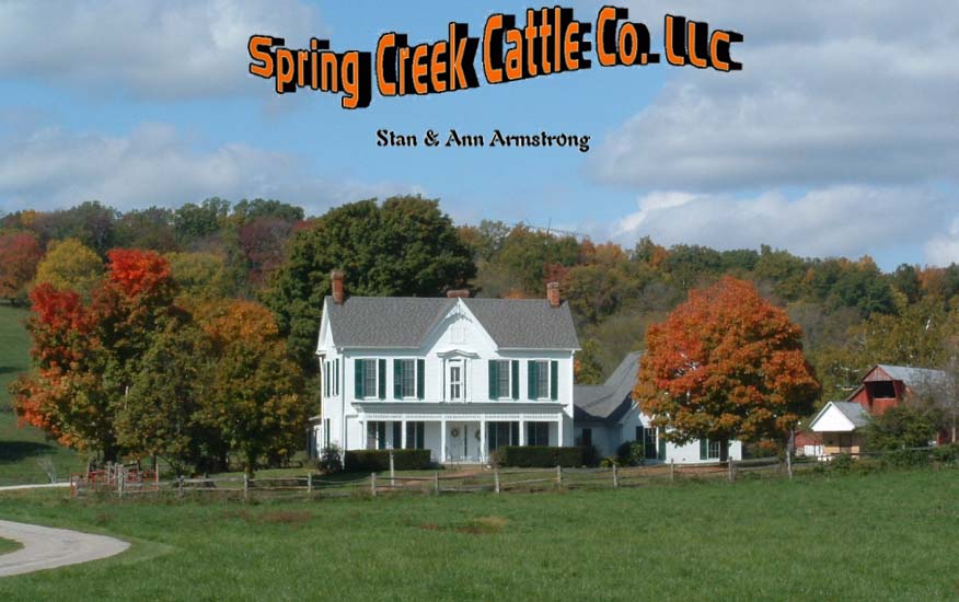 Spring Creek Cattle Co. LLC